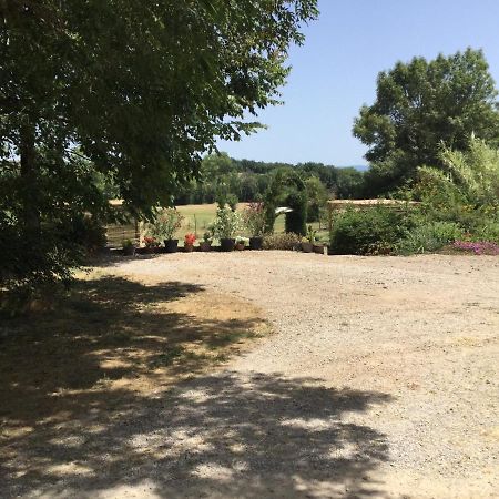 La Barthe Haute Puycalvel Lautrec Bagian luar foto