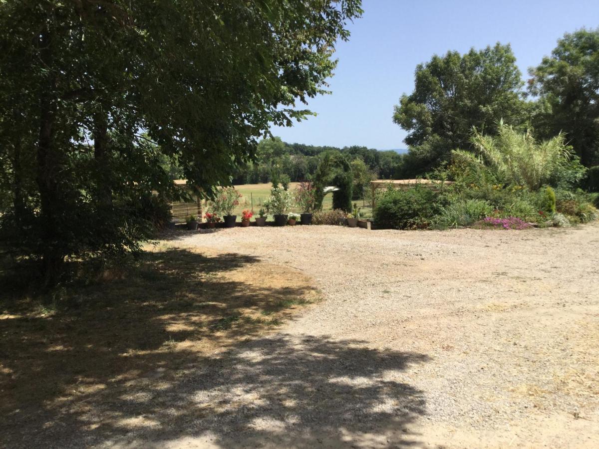 La Barthe Haute Puycalvel Lautrec Bagian luar foto